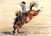 Rodeo